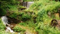 Mill Water Wheel and Stream