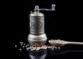 Mill and white pipper Royalty Free Stock Photo