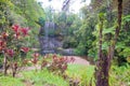 Milla Milla Waterfalls in Atherton Tablelands, Queensland, Australia Royalty Free Stock Photo