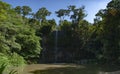 Milla Milla Falls Waterfall in Atherton Table Lands Australia.