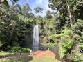 Aerial view of Millaa Millaa Falls Queensland Australia Royalty Free Stock Photo