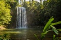 Millaa Milla Falls in the summer in Queensland, Australia Royalty Free Stock Photo