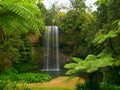 The Millaa Millaa falls Royalty Free Stock Photo