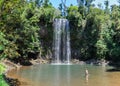 Millaa Millaa Falls in Atherton Tablelands, Australia