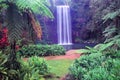 Millaa Millaa Falls - Australia Royalty Free Stock Photo