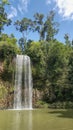 Millaa Millaa Falls is a heritage-listed plunge waterfall Royalty Free Stock Photo