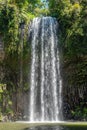 Millaa Millaa Waterfall, far north Queensland, Australia
