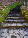 Millard Fillmore Glen State Park stone staircase steps Royalty Free Stock Photo