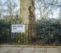 Millbank london and an old tree on the sides Royalty Free Stock Photo