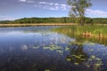 Mille Lacs Kathio State Park is located on Mille Lacs Lake in No