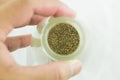 Milled black pepper isolated