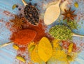 Milled spices - garlic, turmeric, paprika, anise, oregano, cardamom. Round of golden spoons on blue wooden table. Top