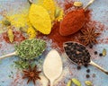 Milled spices - garlic, turmeric, paprika, anise, oregano, cardamom. Round of golden spoons on blue wooden table. Top
