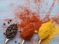 Milled spices - turmeric, curry, black pepper, paprika in golden