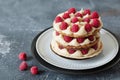Millefeuille with vanilla cream and raspberry Royalty Free Stock Photo