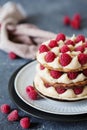 Millefeuille with vanilla cream and raspberry Royalty Free Stock Photo