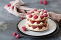 Millefeuille with vanilla cream and raspberry Royalty Free Stock Photo