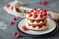 Millefeuille with vanilla cream and raspberry Royalty Free Stock Photo