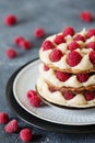 Millefeuille with vanilla cream and raspberry Royalty Free Stock Photo