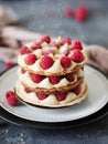 Millefeuille with vanilla cream and raspberry Royalty Free Stock Photo
