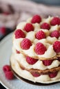 Millefeuille with vanilla cream and raspberry Royalty Free Stock Photo