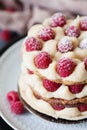 Millefeuille with vanilla cream and raspberry Royalty Free Stock Photo