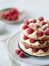 Millefeuille with vanilla cream and raspberry Royalty Free Stock Photo