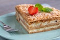 Millefoglie or mille-feuille pastry on a plate with decoration