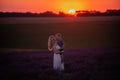 Millenial young mother holds little son in arms at sunset in purple lavender field. Lifestyle