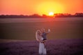 Millenial young mother holds little son in arms at sunset in purple lavender field. Lifestyle