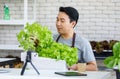 Millennial Asian professional male farmer gardener in apron holding fresh raw organic green leaf salad vegetable in wooden crate Royalty Free Stock Photo