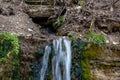 Millennial cold forest creek, little waterfall