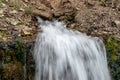 Millennial cold forest creek, little waterfalls over the rocks