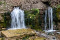 Millennial cold forest creek, little waterfalls over the rocks