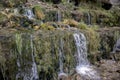 Millennial cold forest creeks, little waterfalls