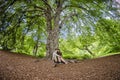 Millennial couple sitting under a big tree Royalty Free Stock Photo