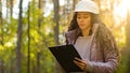 Millennial female technician ecologist looking up at treetops, Young indian woman in hardhat with clipboard taking