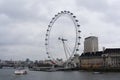 Millennium wheel (London Eye) Royalty Free Stock Photo