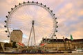 Millennium Wheel (London Eye), London, UK