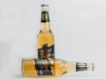 Miller beer bottles closeup against white bacground Royalty Free Stock Photo