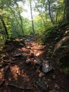 Miller Creek Hiking Trail with Evening Summer Sun Duluth MN Royalty Free Stock Photo