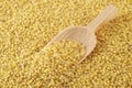 Millet Royalty Free Stock Photo