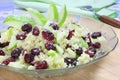 Millet with apple and cranberries Royalty Free Stock Photo