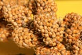 Millet ear Royalty Free Stock Photo