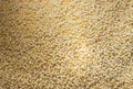 Millet grain texture