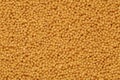 Millet grains background