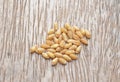Millet wheat Royalty Free Stock Photo