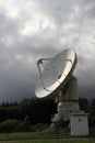 Millimeter array of Nobeyama radio observatory