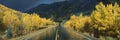 Million Dollar Highway in the rain, Colorado