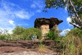 The million years mushroom stone pillar